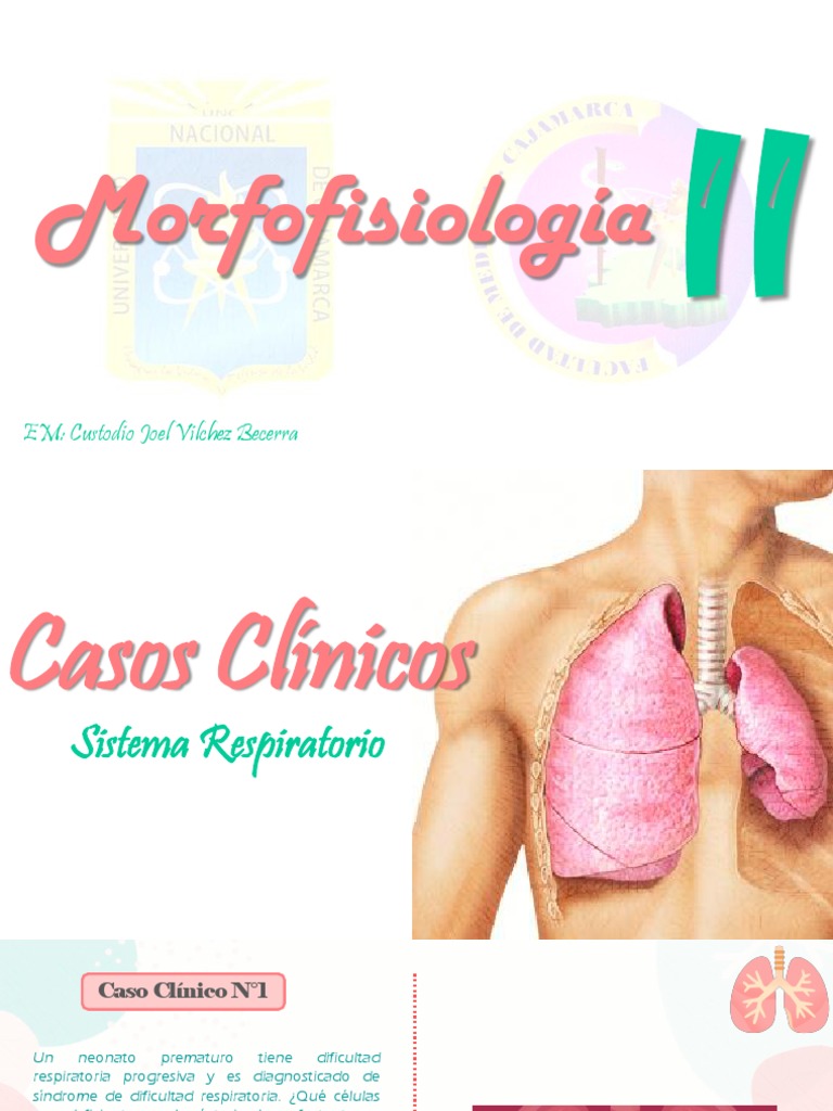 C4 - S. R - Casos Clínicos Parte I | PDF | Nervio vago | Abdomen