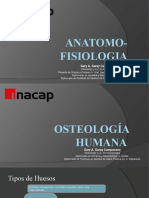 Clase 3 - Osteologia