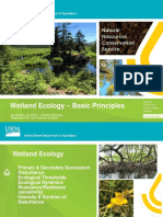 Wetland Ecology Basic Principles 111418 Moseley