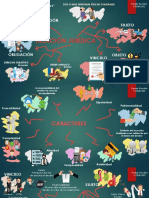 Mapa Mental Relacion Juridica