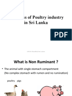 Status of Poultry Industry in Sri Lanka