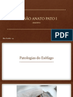 Revisão Anato Pato I - Gastro Sem Questões