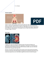 Tugas Biologi (Penyakit Pada Sistem Ekskresi) I Gede Praditya L. R. A. Kusuma - XI MIPA 2