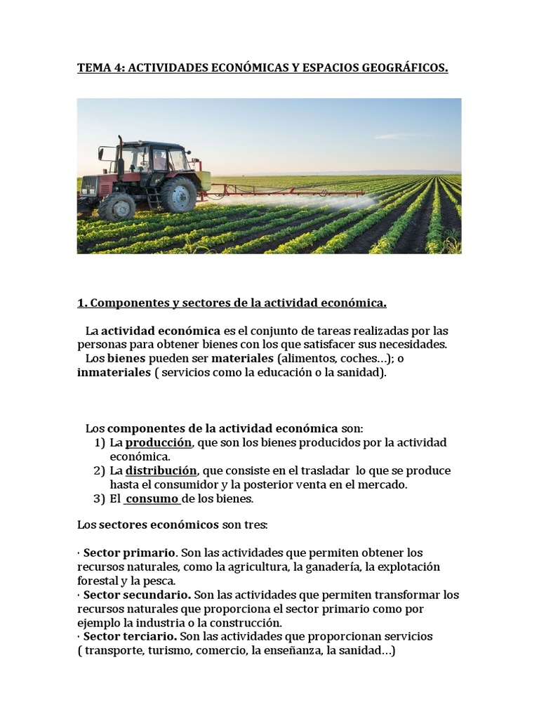 Actividades Económicas y Sectores | PDF | Capitalismo | Bienes