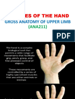 Muscles of The Hand Extrinsic and Intrinsic Slide