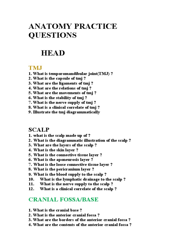 Anatomy Practice Questions PDF Skull Human Head And Neck