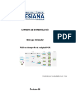 Biología Molecular PCR