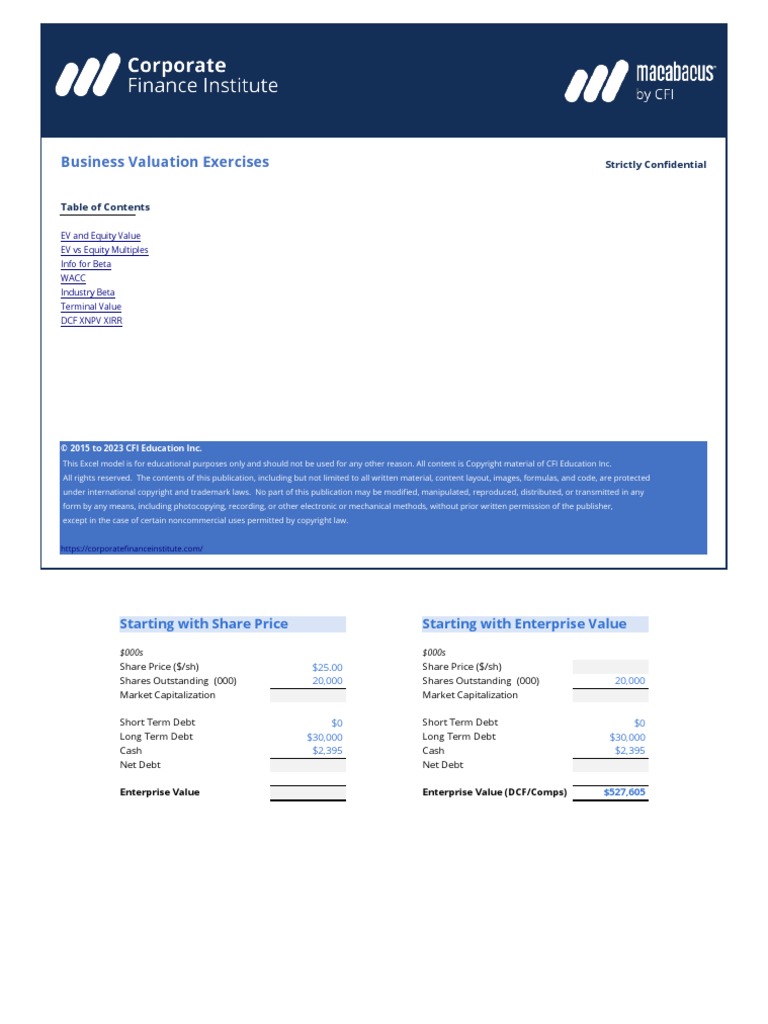 Business Valuation Exercises (Template) | PDF | Discounted Cash Flow | Net  Present Value