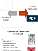 13 - Regeneracion y Reparacion 2023 - Removed