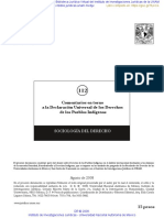 Comentarios en Torno A La Declaración Universal de Los Derechos de Los Pueblos Indígenas, UNAM