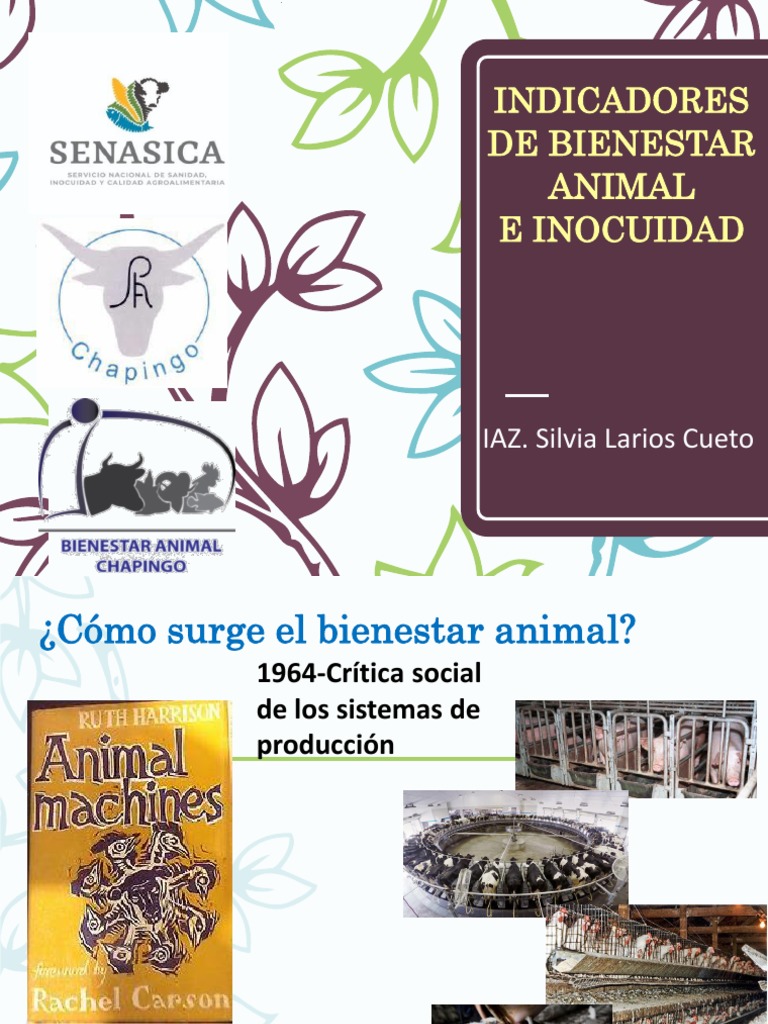 Indicadores de Bienestar Animal en Bovinos | PDF | Carne | Bienestar de ...
