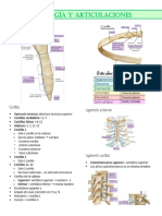 Torax y Abdomen