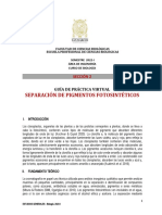 Guia - Pigmentos Fotosintesis 2023-I FCM Virtual Sección 6a-Grupo B