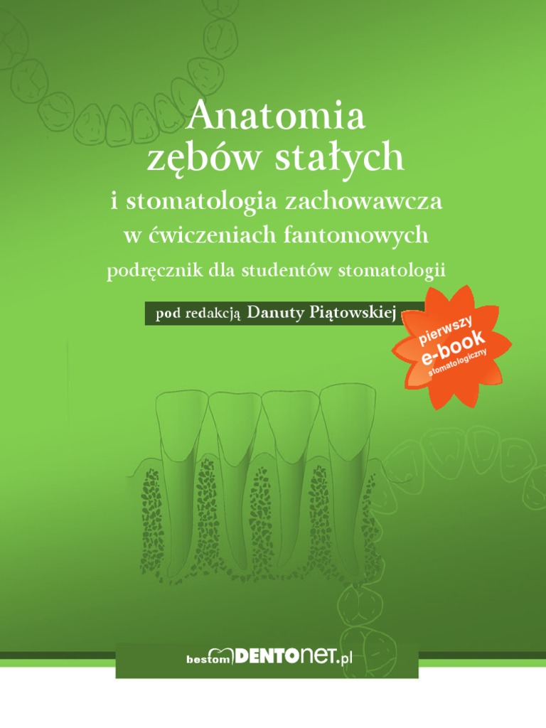 Anatomia Zębów Stałych 221012 210259 | PDF