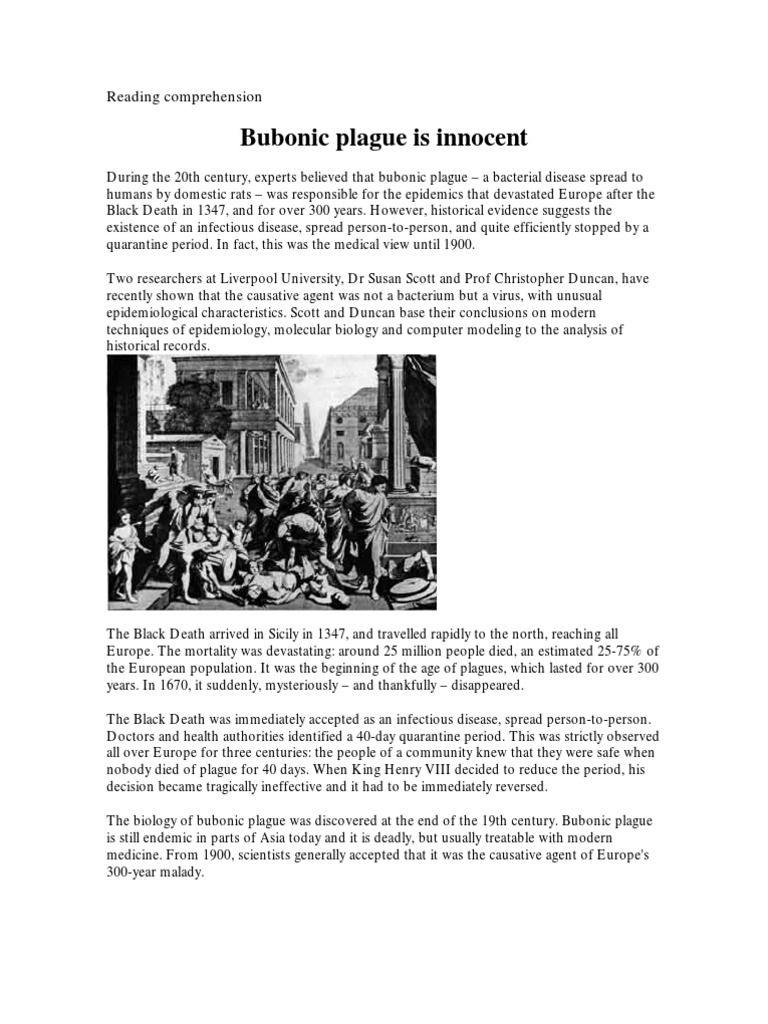 essay about the black plague