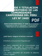 Deslinde y Titulacionde Comunidades Campesinas - PPT 21