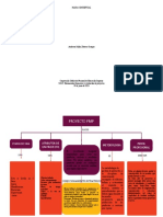 Mapa Conceptual