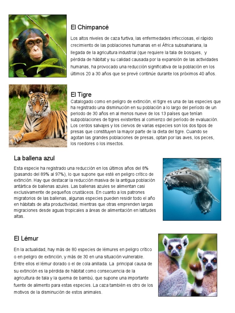 Especies en Peligro de Extinción | PDF | Especie en peligro ...
