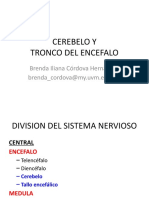 4 Sistema Neurologico