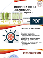 Cap. 11 Estructura de La Membrana