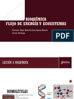 3 Bio Bioquimica, Flujo de Energia, Ecosistema