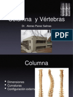 02-Columna y Vrtebras