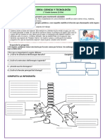 2do Grado Semana 15