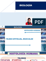 Bio - t08 - Histiologia Humana 1