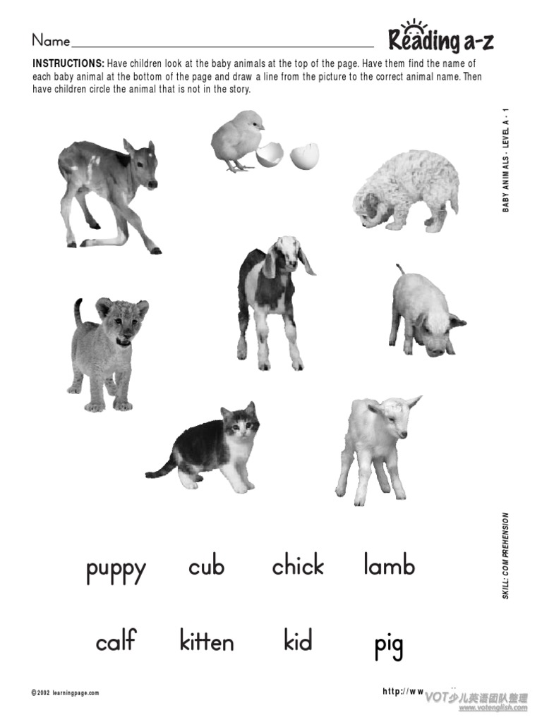 Baby Animals Matching Worksheet | PDF | Cats | Domesticated Animals, image size:768x1024
