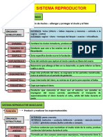 Guia 8 Sistema Reproductor