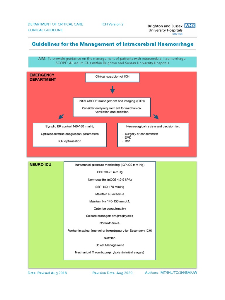 Guidelines For The Management of Intracerebral Haemorrhage | PDF ...