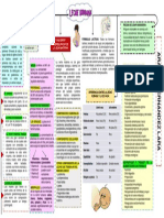 15.mapa Conceptual Leche Humana