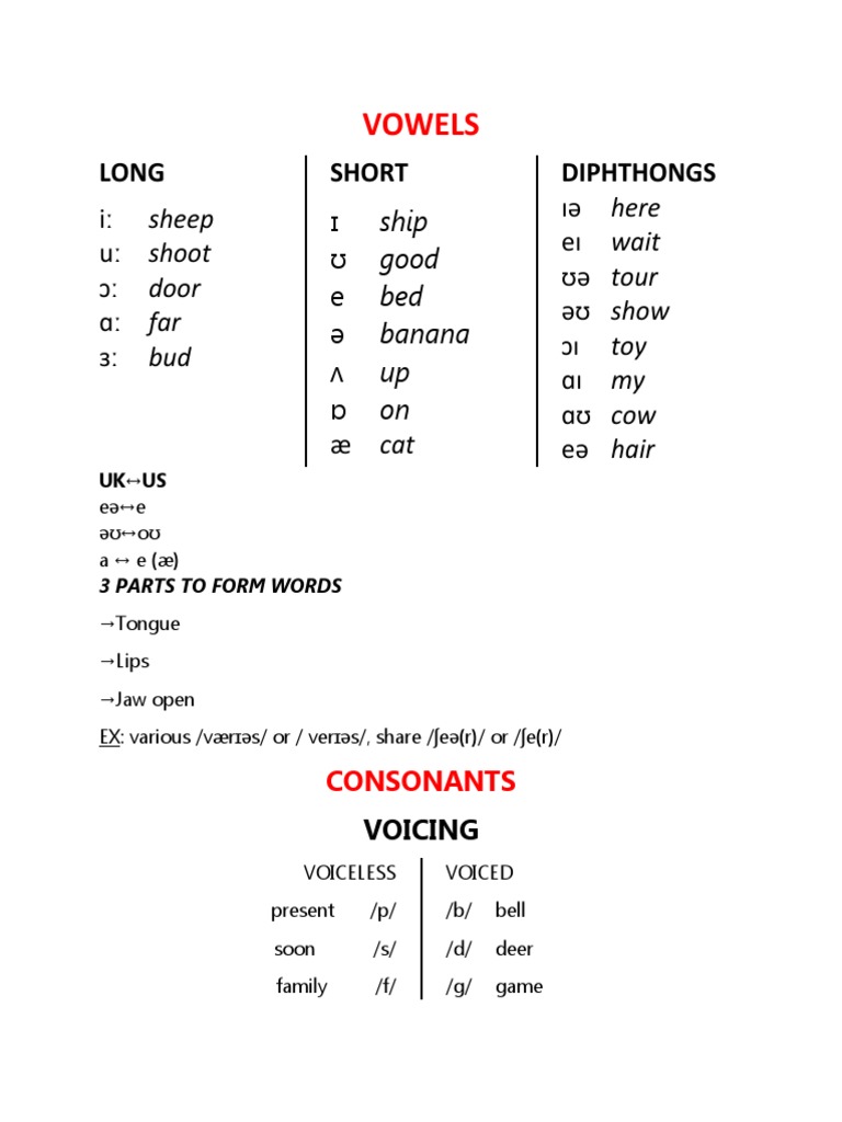 Pronunciation Pdf Consonant Vowel