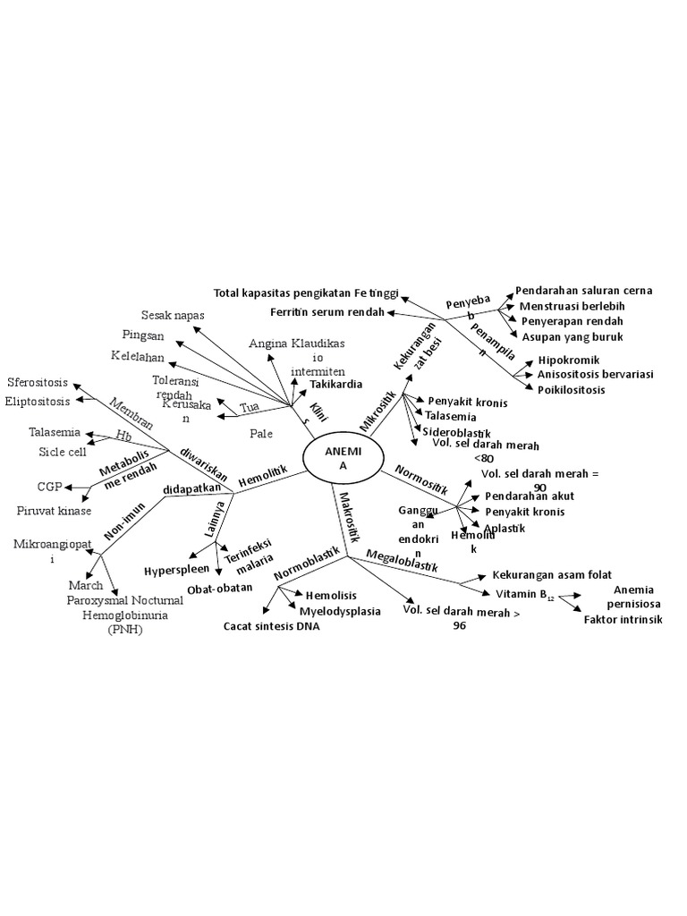 Spider web pdf