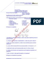Biologia Selectividad Examen 2 Resuelto Castilla La Mancha Www.siglo21x.blogspot