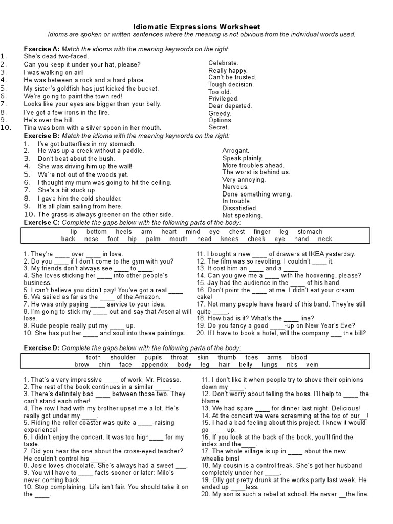 Car Idiomatic Expressions | PDF | Idiom