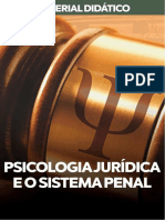 Psicologia Jurídica e o Sistema Penal
