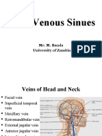 Dural Venous Sinus