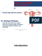 Female Reproductive System - Edited