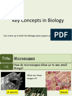 CB1a Microscopes