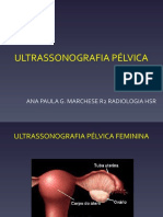 Us Pelvico