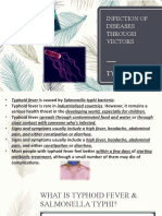 Infection of Diseases Through Vectors