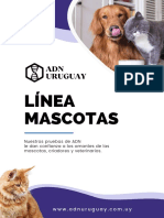 Flyer Mascotas. ADNUruguay