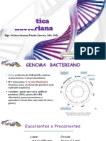 s4 TP Genetica Bacteriana