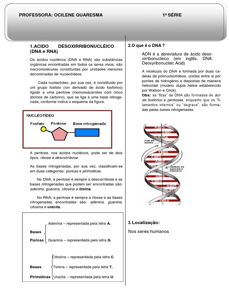 Apostila Dna | PDF | RNA | DNA