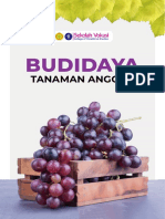 978 602 6954 51 0 - Budidaya - Tanaman - Anggur