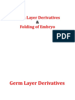 Germ Layer Derivatives and Folding of Embryo