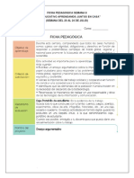 Ficha Pdagogica Semana 8