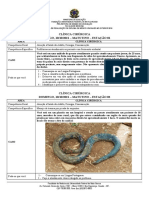 Ufmt Prova Prática Edição 2018 - Complementação - Prova 2021 Etapa IV 10-10-2021