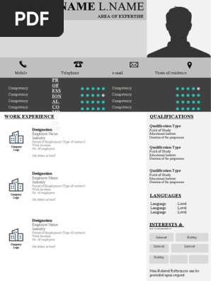 CV Template - P001 Editable